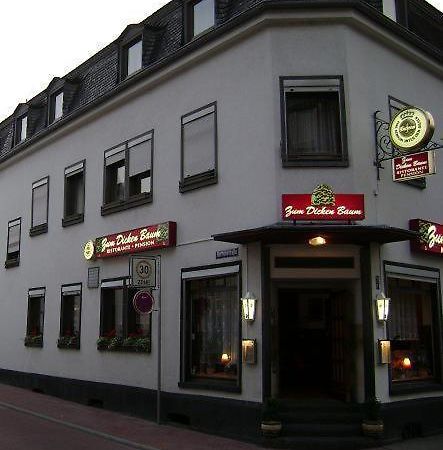 Hotel Zum Dicken Baum Mayen Esterno foto