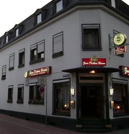 Hotel Zum Dicken Baum Mayen Esterno foto